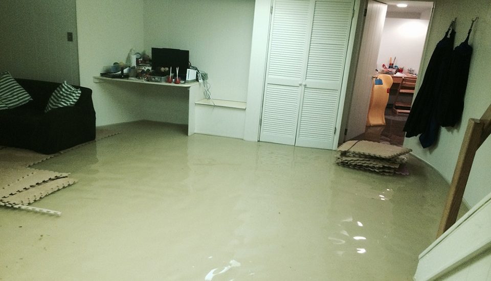 Flood Damage Restoration Broadmeadows