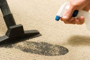 Carpet Stain Removal Camberwell