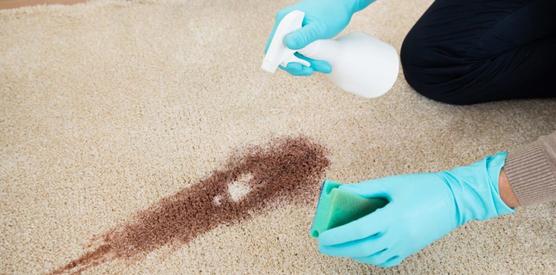 Carpet Stain Removal Thomastown