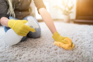 Carpet Stain Removal Seymour