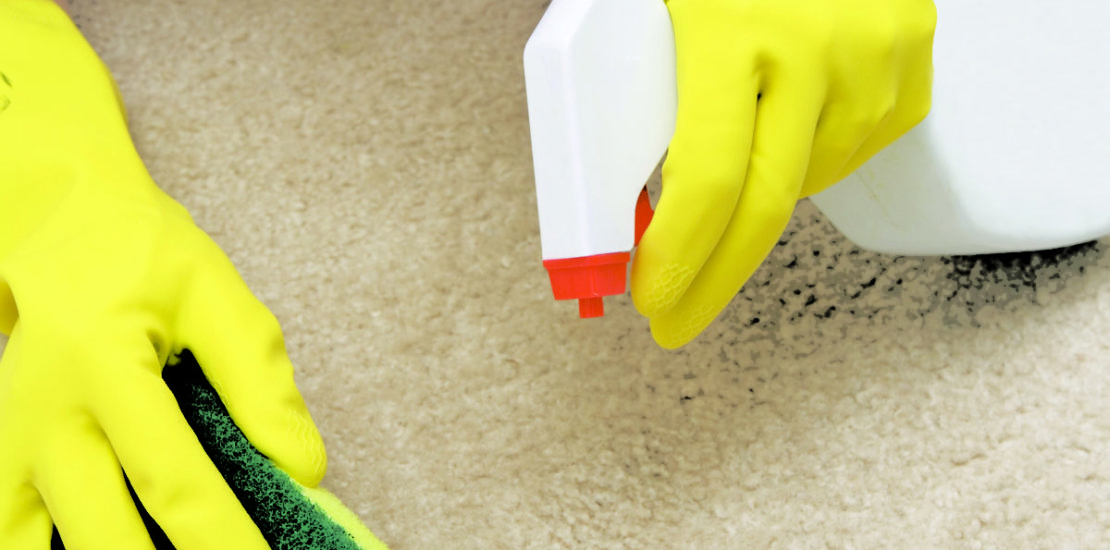 Carpet Stain Removal Tullamarine