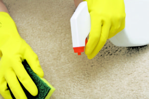 Carpet Stain Removal Tullamarine