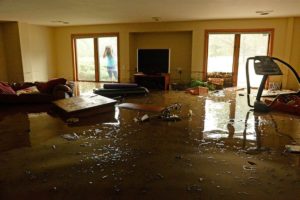 Flood Damage Restoration carlton