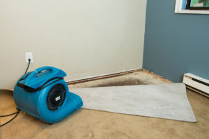 Flood Damage Restoration Essendon