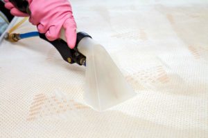 Mattress Steam Cleaning baccus marsh