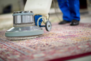 Rug Steam Cleaning Moonee Ponds