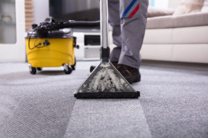 Rug Steam Cleaning Levorton