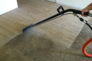 Rug Steam Cleaning Brunswick