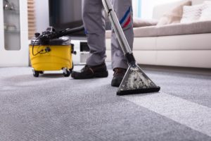 Wet Carpet Drying carlton